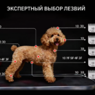 Ножевой блок стандарт A5 SHERNBAO 1,2 мм - ножевой блок A5 MayDog