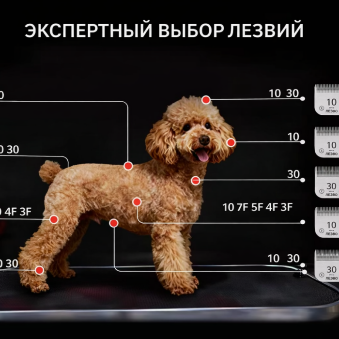 ChatGPT-Image-24-мар.-2026-г.-09_40_11-scaled Ножевой блок стандарт A5 SHERNBAO 1,2 мм - ножевой блок A5 MayDog